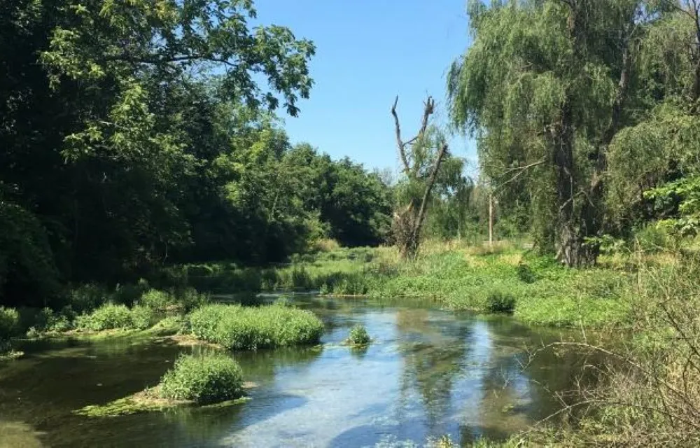 Big Spring Creek near Trails End Motel